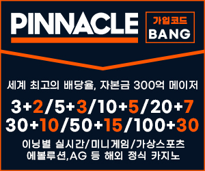 메이저놀이터 피나클